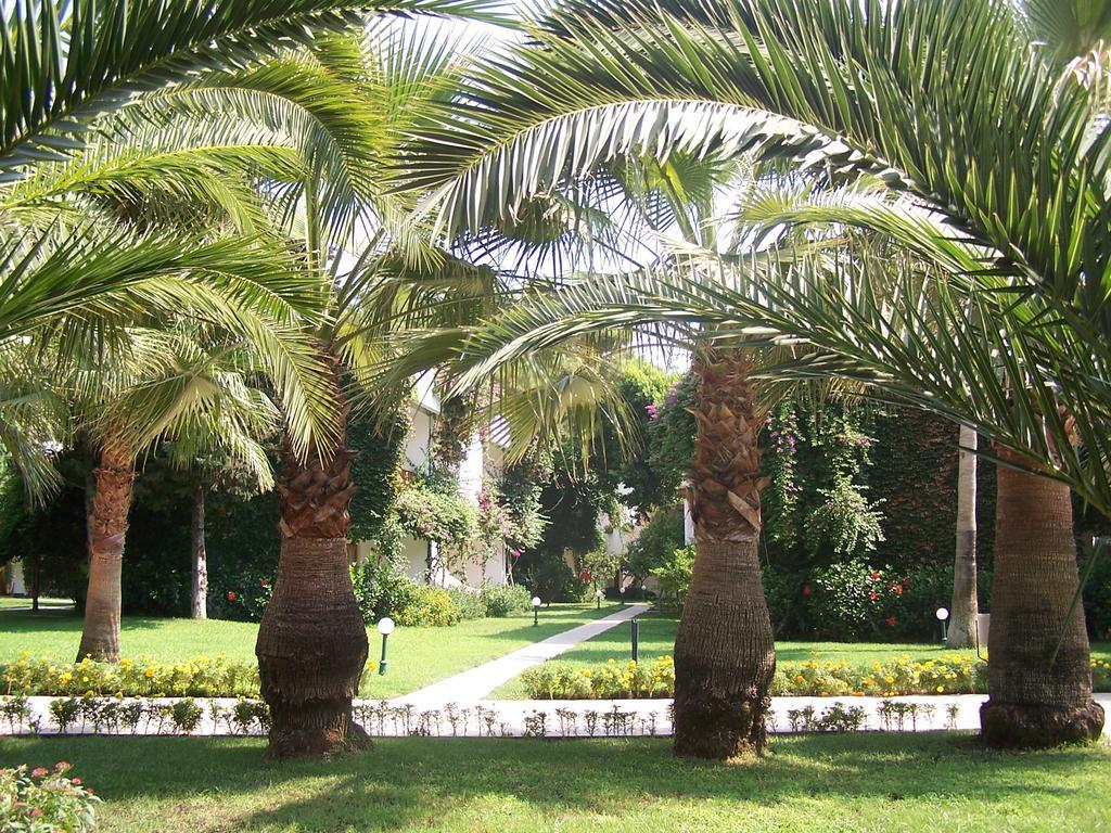 קמר Club Boran Mare Beach מראה חיצוני תמונה