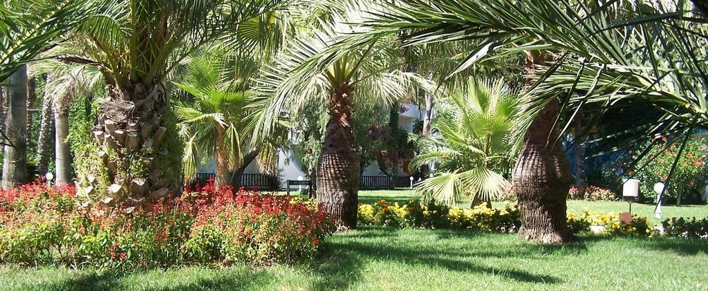 קמר Club Boran Mare Beach מראה חיצוני תמונה